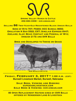 the 2017 Catalog - Spring Valley Ranch and Cattle