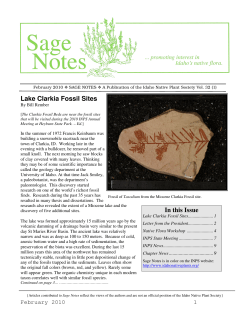 Lake Clarkia Fossil Sites - Idaho Native Plant Society