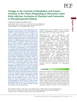 Changes in the Contents of Metabolites and Enzyme Activities in