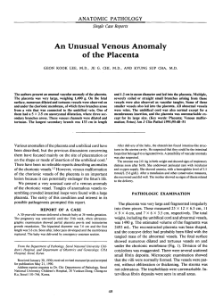 An Unusual Venous Anomaly of the Placenta