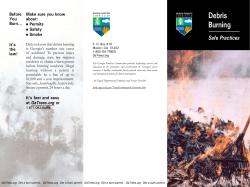 Debris Burning - Georgia Forestry Commission