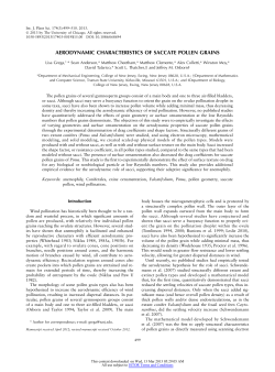 Aerodynamic Characteristics of Saccate Pollen Grains