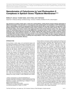 Nanodomains of Cytochrome b6f and Photosystem II Complexes in