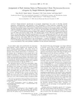 Assignment of Red Antenna States in Photosystem I from