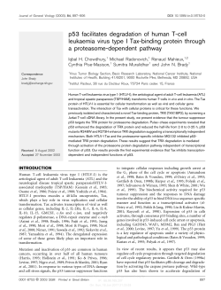 p53 facilitates degradation of human T