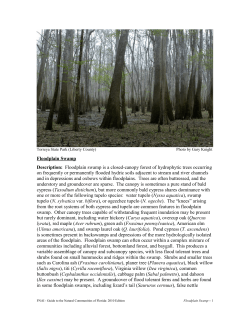Floodplain Swamp - Florida Natural Areas Inventory