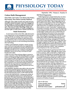 Cotton Stalk Management - The National Cotton Council