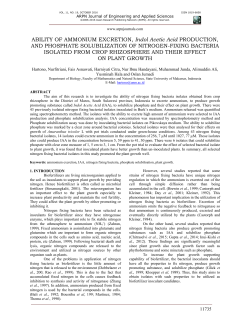 ABILITY OF AMMONIUM EXCRETION, Indol Acetic