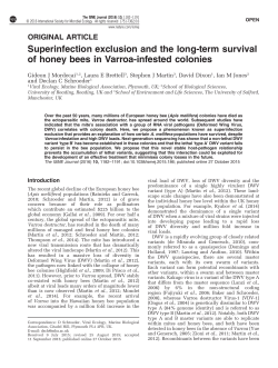 Superinfection exclusion and the long-term survival of