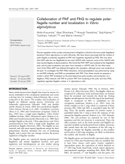 Collaboration of FlhF and FlhG to regulate polar