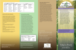 Technical Guide #4:Recognizing and Appreciating Remnants