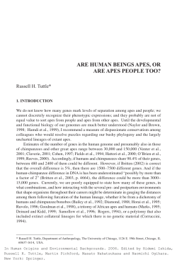 ARE HUMAN BEINGS APES, OR ARE APES PEOPLE TOO?