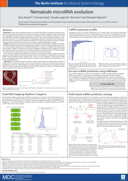 Abstract Prefix based miRNA prediction strategy Small RNA