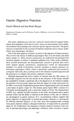Gastric Digestive Function - Nestl&eacute; Nutrition Institute