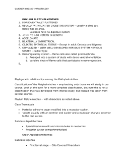 Lecture notes from week of FLATWORMS