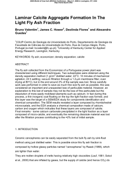 Laminar Calcite Aggregates Formation in the Fly Ash light Fraction