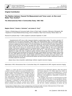 The Relation between Visceral Fat Measurement and Torso Level