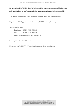Structural model of MalK, the ABC subunit of the