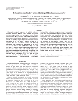 Polyamines as olfactory stimuli in the goldfish Carassius auratus