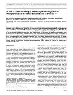 EOBII, a Gene Encoding a Flower-Specific