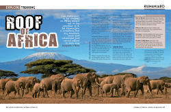 Explore trekking Kilimanjaro - Summit Expeditions and Nomadic