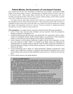 Patient Money: the Economics of Low-Impact Forestry