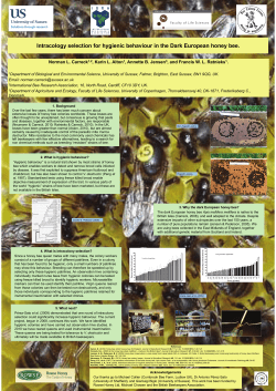 NCarreck_PosterCOLOSS2010 [PDF 2.76MB]