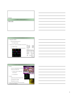 Ch 13 Meiosis - philipdarrenjones.com