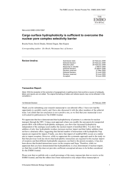 Cargo surface hydrophobicity is sufficient to overcome the nuclear