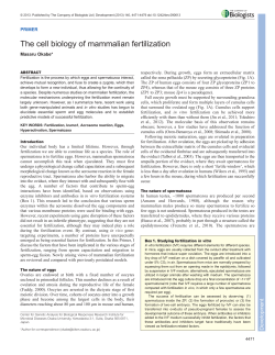 The cell biology of mammalian fertilization