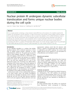 Nuclear protein IK undergoes dynamic subcellular translocation and