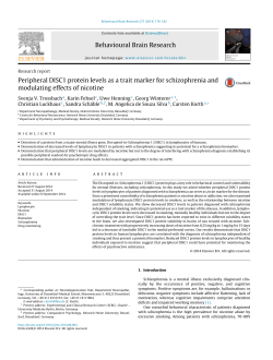 Peripheral DISC1 protein levels as a trait marker for schizophrenia