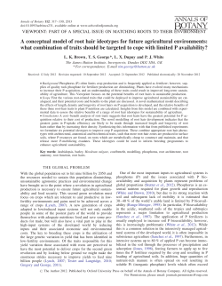 A conceptual model of root hair ideotypes for