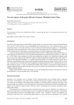 Preview - Magnolia press