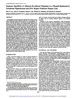 Sequence Specificity of Aflatoxin B,