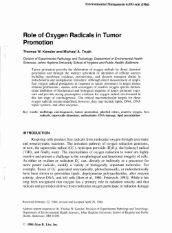 Role of Oxygen Radicals in Tumor Promotion