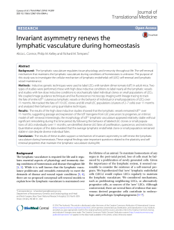 Invariant asymmetry renews the lymphatic vasculature during