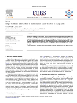 Single molecule approaches to transcription factor kinetics in living