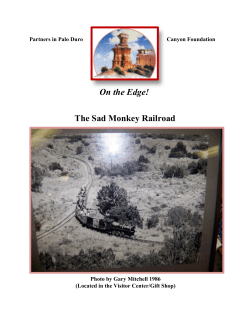 On the Edge! The Sad Monkey Railroad