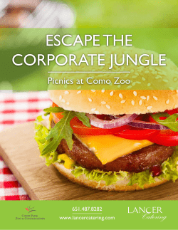 ESCAPE THE CORPORATE JUNGLE
