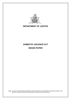 Domestic Violence Act Issues Paper