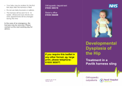 Developmental Dysplasia of the Hip