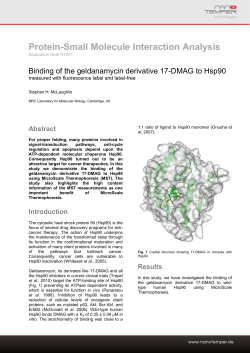 Binding of the geldanamycin derivative 17