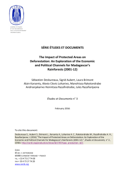 An Exploration of the Economic and Political Channel