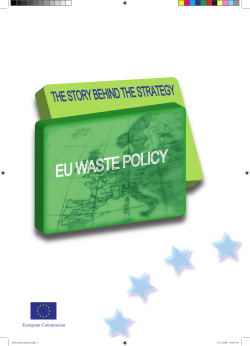 The Story behind the Strategy - European Commission