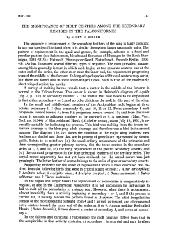 The Significance of Molt Centers among the Secondary Remiges in