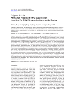 Original Article MiR-106b-mediated Mfn2 suppression is critical for