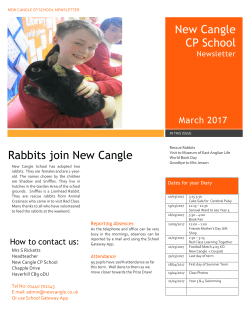 March Newsletter - New Cangle CP School