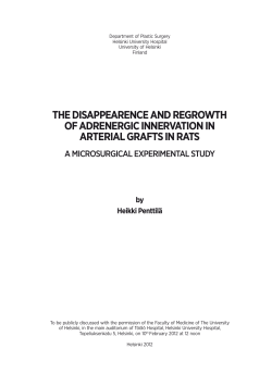 the disappearence and regrowth of adrenergic innervation