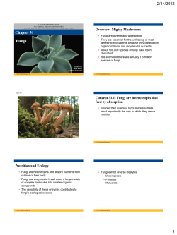 Chapter 31 - HCC Learning Web